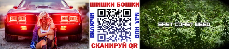 Канабис сатива  Купить закладки  Карачаевск 